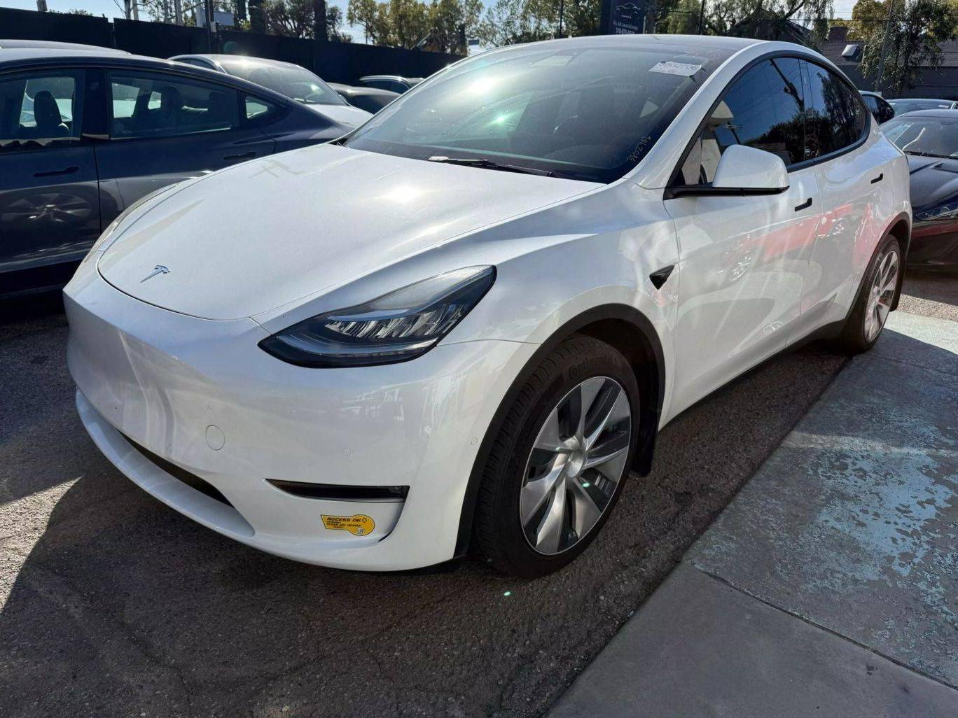 TESLA MODEL Y 2022 7SAYGDEE9NF362818 image